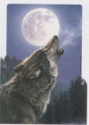 Prive van foxhound Profile Picture
