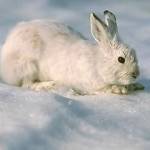 Dick hare Profile Picture