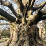 ViezeFred Profile Picture