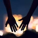 linkehenkie Profile Picture