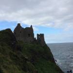 Bart Van Loo Profile Picture