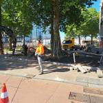 Gerard Boer Profile Picture