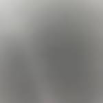 rigilio poa Profile Picture